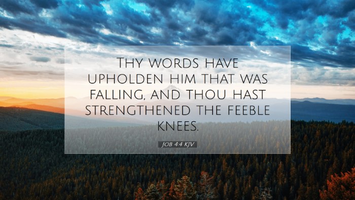 Picture 07 - Job 4:4 KJV Desktop Wallpaper - Thy words have upholden him that was falling, and - Desktop Bible Verse Wallpaper