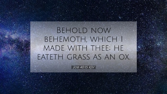 Picture 07 - Job 40:15 KJV Desktop Wallpaper - Behold now behemoth, which I made with thee; he - Desktop Bible Verse Wallpaper