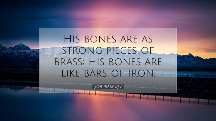 Picture 07 - Job 40:18 KJV Desktop Wallpaper - His bones are as strong pieces of brass; his - Desktop Bible Verse Wallpaper