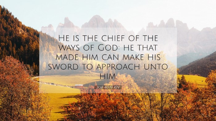 Picture 07 - Job 40:19 KJV Desktop Wallpaper - He is the chief of the ways of God: he that made - Desktop Bible Verse Wallpaper