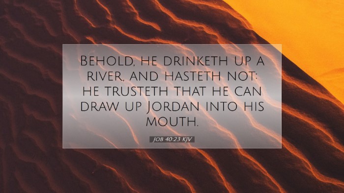 Picture 07 - Job 40:23 KJV Desktop Wallpaper - Behold, he drinketh up a river, and hasteth not: - Desktop Bible Verse Wallpaper