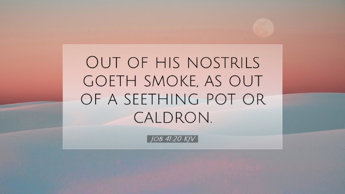 Picture 07 - Job 41:20 KJV Desktop Wallpaper - Out of his nostrils goeth smoke, as out of a - Desktop Bible Verse Wallpaper