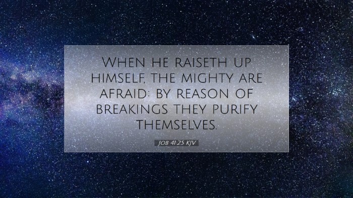 Picture 07 - Job 41:25 KJV Desktop Wallpaper - When he raiseth up himself, the mighty are - Desktop Bible Verse Wallpaper