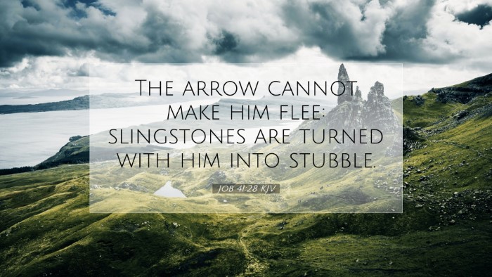 Picture 07 - Job 41:28 KJV Desktop Wallpaper - The arrow cannot make him flee: slingstones are - Desktop Bible Verse Wallpaper