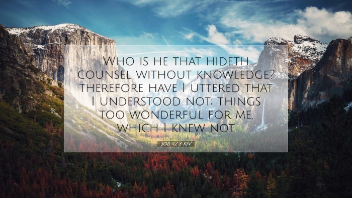 Picture 07 - Job 42:3 KJV Desktop Wallpaper - Who is he that hideth counsel without knowledge? - Desktop Bible Verse Wallpaper
