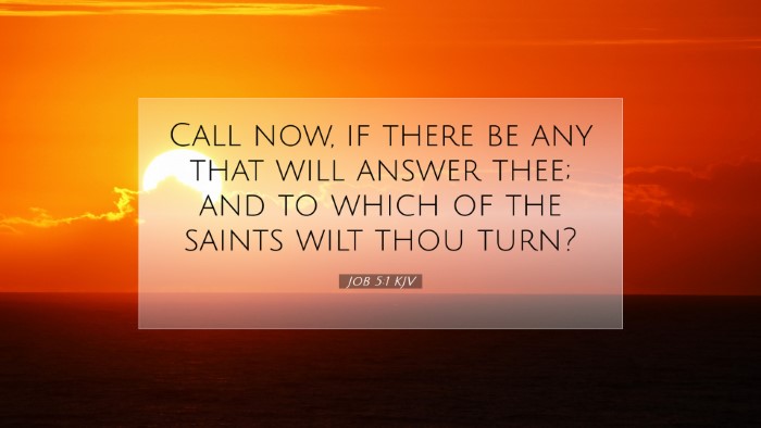 Picture 07 - Job 5:1 KJV Desktop Wallpaper - Call now, if there be any that will answer thee; - Desktop Bible Verse Wallpaper