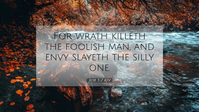 Picture 07 - Job 5:2 KJV Desktop Wallpaper - For wrath killeth the foolish man, and envy - Desktop Bible Verse Wallpaper
