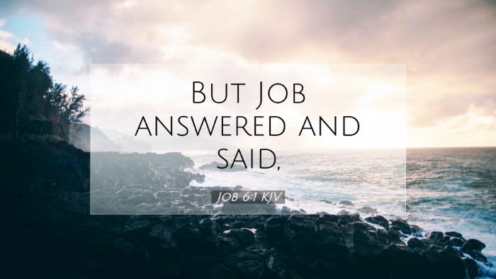 Picture 07 - Job 6:1 KJV Desktop Wallpaper - But Job answered and - Desktop Bible Verse Wallpaper