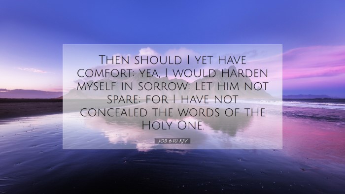 Picture 07 - Job 6:10 KJV Desktop Wallpaper - Then should I yet have comfort; yea, I would - Desktop Bible Verse Wallpaper