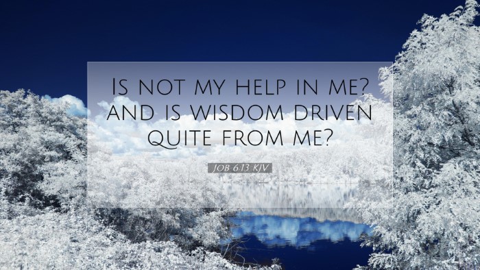 Picture 07 - Job 6:13 KJV Desktop Wallpaper - Is not my help in me? and is wisdom driven quite - Desktop Bible Verse Wallpaper