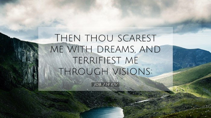 Picture 07 - Job 7:14 KJV Desktop Wallpaper - Then thou scarest me with dreams, and terrifiest - Desktop Bible Verse Wallpaper