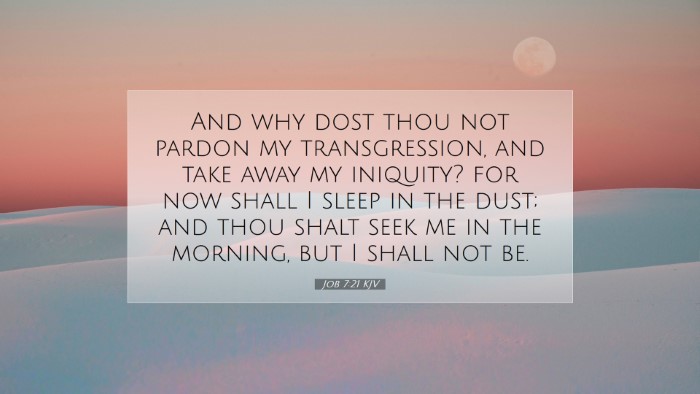 Picture 07 - Job 7:21 KJV Desktop Wallpaper - And why dost thou not pardon my transgression, - Desktop Bible Verse Wallpaper