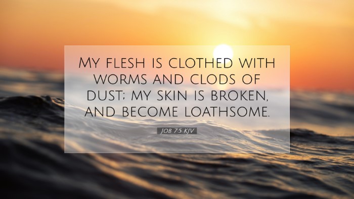 Picture 07 - Job 7:5 KJV Desktop Wallpaper - My flesh is clothed with worms and clods of dust; - Desktop Bible Verse Wallpaper