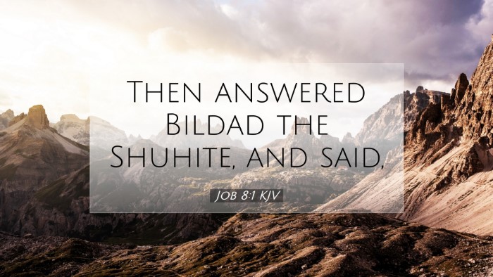 Picture 07 - Job 8:1 KJV Desktop Wallpaper - Then answered Bildad the Shuhite, and - Desktop Bible Verse Wallpaper