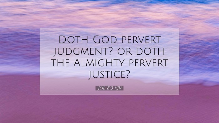 Picture 07 - Job 8:3 KJV Desktop Wallpaper - Doth God pervert judgment? or doth the Almighty - Desktop Bible Verse Wallpaper