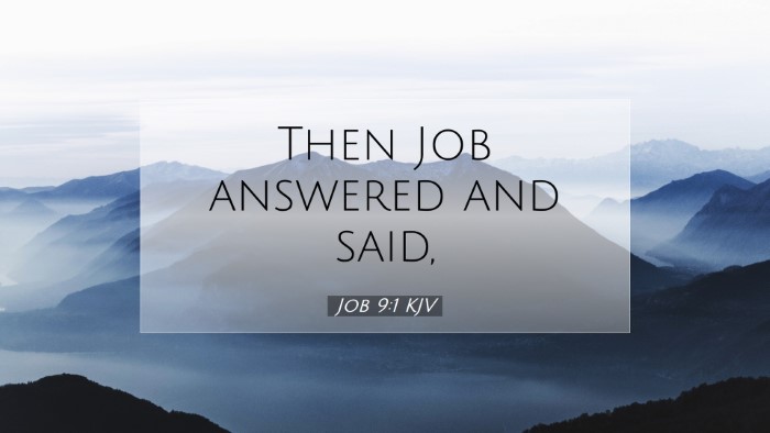 Picture 07 - Job 9:1 KJV Desktop Wallpaper - Then Job answered and - Desktop Bible Verse Wallpaper
