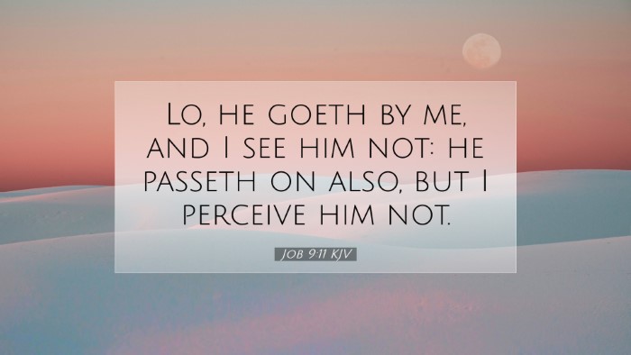 Picture 07 - Job 9:11 KJV Desktop Wallpaper - Lo, he goeth by me, and I see him not: he passeth - Desktop Bible Verse Wallpaper