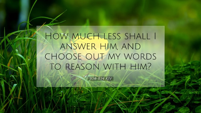 Picture 07 - Job 9:14 KJV Desktop Wallpaper - How much less shall I answer him, and choose out - Desktop Bible Verse Wallpaper