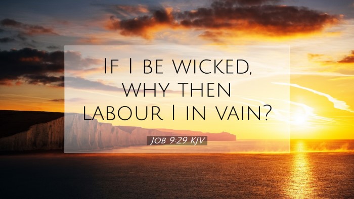 Picture 07 - Job 9:29 KJV Desktop Wallpaper - If I be wicked, why then labour I in - Desktop Bible Verse Wallpaper