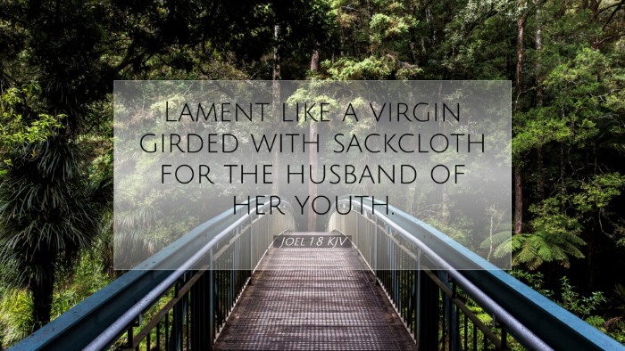 Picture 07 - Joel 1:8 KJV Desktop Wallpaper - Lament like a virgin girded with sackcloth for - Desktop Bible Verse Wallpaper