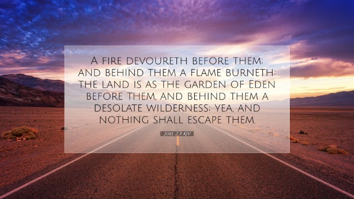 Picture 07 - Joel 2:3 KJV Desktop Wallpaper - A fire devoureth before them; and behind them a - Desktop Bible Verse Wallpaper
