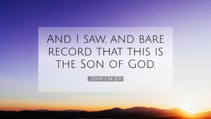 Picture 07 - John 1:34 KJV Desktop Wallpaper - And I saw, and bare record that this is the Son - Desktop Bible Verse Wallpaper