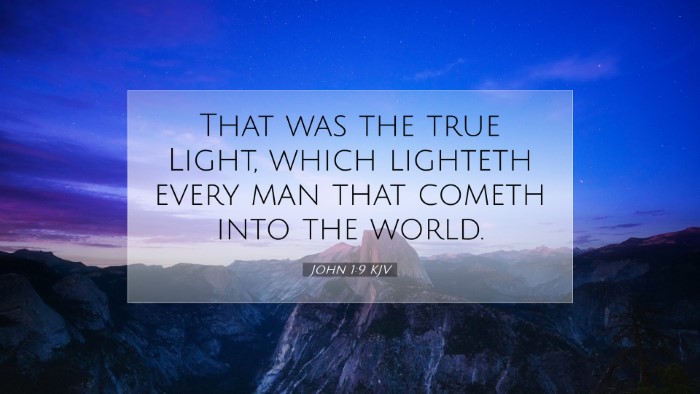 Picture 07 - John 1:9 KJV Desktop Wallpaper - That was the true Light, which lighteth every man - Desktop Bible Verse Wallpaper