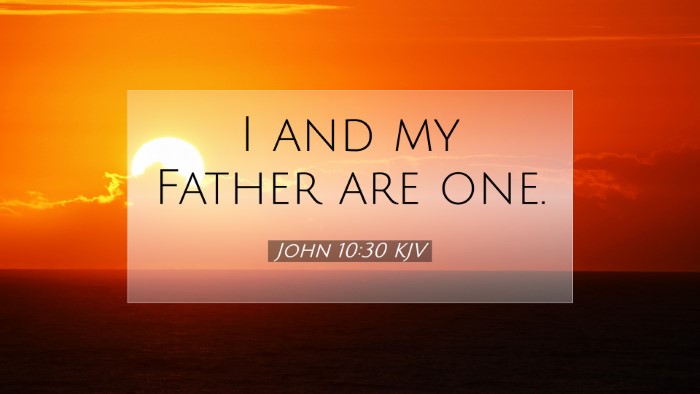 Picture 07 - John 10:30 KJV Desktop Wallpaper - I and my Father are - Desktop Bible Verse Wallpaper