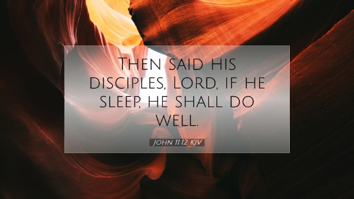 Picture 07 - John 11:12 KJV Desktop Wallpaper - Then said his disciples, Lord, if he sleep, he - Desktop Bible Verse Wallpaper