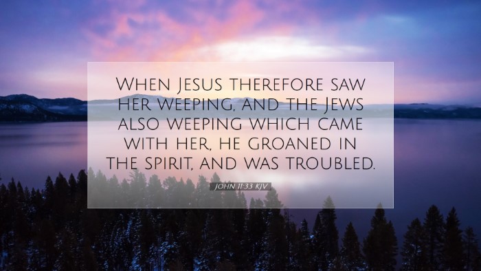 Picture 07 - John 11:33 KJV Desktop Wallpaper - When Jesus therefore saw her weeping, and the - Desktop Bible Verse Wallpaper