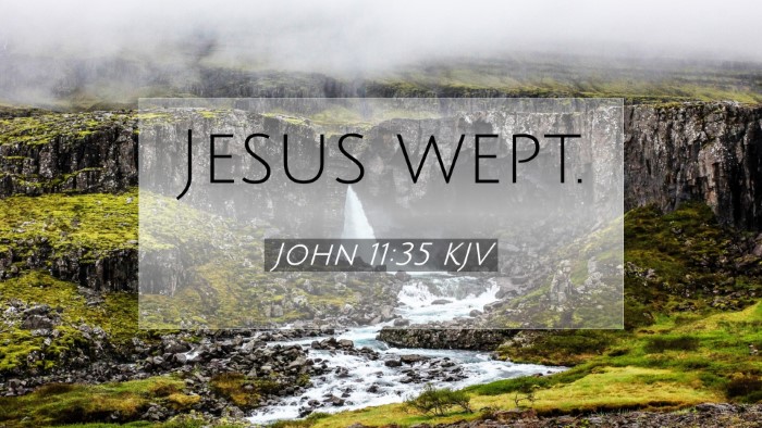 Picture 07 - John 11:35 KJV Desktop Wallpaper - Jesus - Desktop Bible Verse Wallpaper