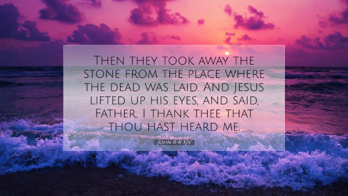 Picture 07 - John 11:41 KJV Desktop Wallpaper - Then they took away the stone from the place - Desktop Bible Verse Wallpaper