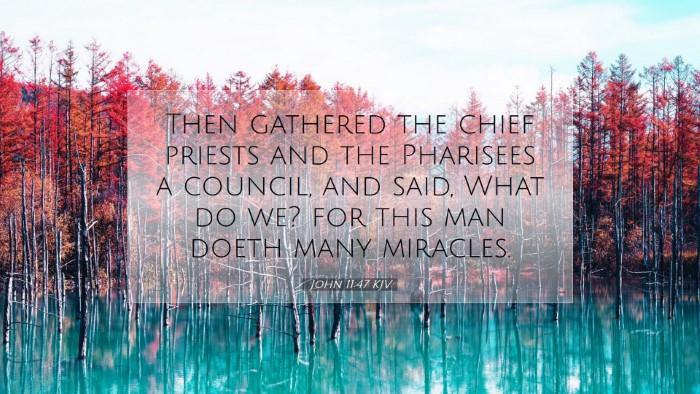 Picture 07 - John 11:47 KJV Desktop Wallpaper - Then gathered the chief priests and the Pharisees - Desktop Bible Verse Wallpaper
