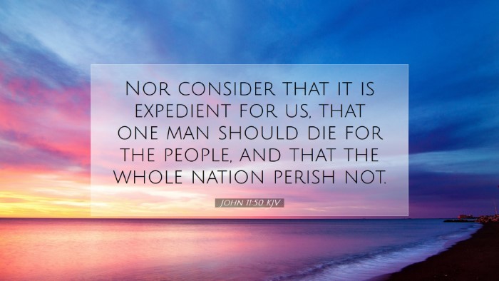 Picture 07 - John 11:50 KJV Desktop Wallpaper - Nor consider that it is expedient for us, that - Desktop Bible Verse Wallpaper