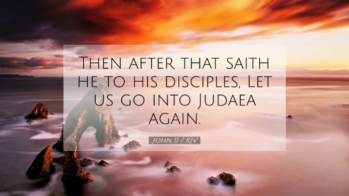 Picture 07 - John 11:7 KJV Desktop Wallpaper - Then after that saith he to his disciples, Let us - Desktop Bible Verse Wallpaper