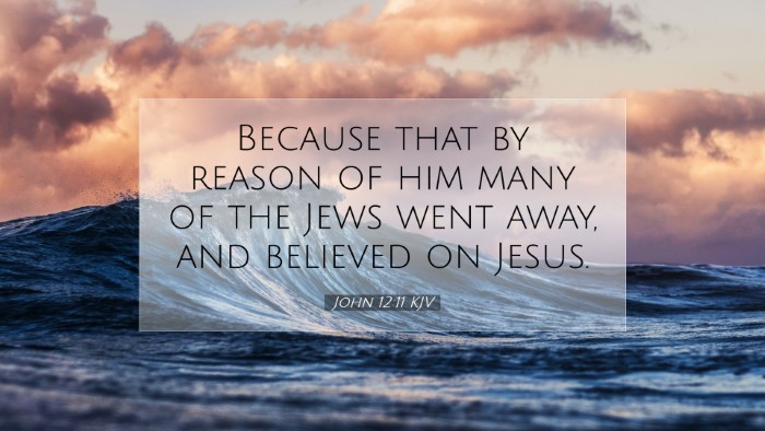 Picture 07 - John 12:11 KJV Desktop Wallpaper - Because that by reason of him many of the Jews - Desktop Bible Verse Wallpaper