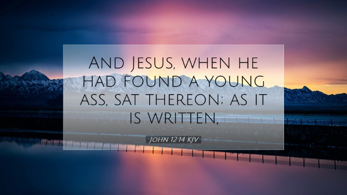 Picture 07 - John 12:14 KJV Desktop Wallpaper - And Jesus, when he had found a young ass, sat - Desktop Bible Verse Wallpaper