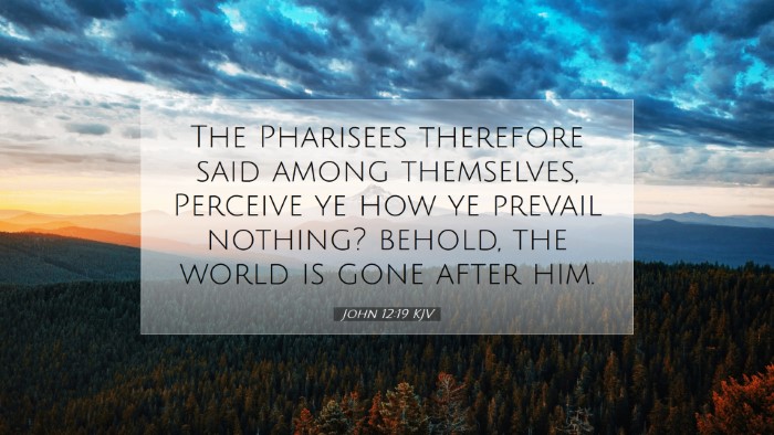 Picture 07 - John 12:19 KJV Desktop Wallpaper - The Pharisees therefore said among themselves, - Desktop Bible Verse Wallpaper