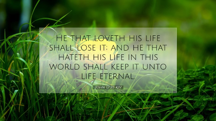 Picture 07 - John 12:25 KJV Desktop Wallpaper - He that loveth his life shall lose it; and he - Desktop Bible Verse Wallpaper