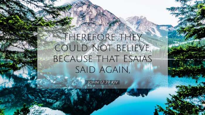 Picture 07 - John 12:39 KJV Desktop Wallpaper - Therefore they could not believe, because that - Desktop Bible Verse Wallpaper