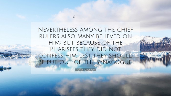 Picture 07 - John 12:42 KJV Desktop Wallpaper - Nevertheless among the chief rulers also many - Desktop Bible Verse Wallpaper