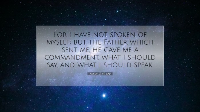 Picture 07 - John 12:49 KJV Desktop Wallpaper - For I have not spoken of myself; but the Father - Desktop Bible Verse Wallpaper