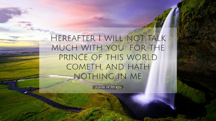 Picture 07 - John 14:30 KJV Desktop Wallpaper - Hereafter I will not talk much with you: for the - Desktop Bible Verse Wallpaper