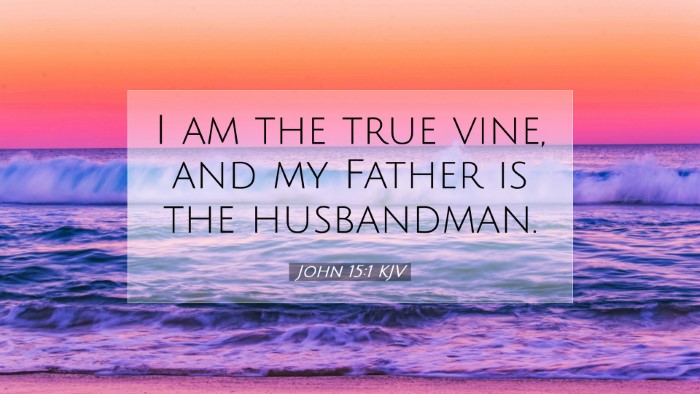 Picture 07 - John 15:1 KJV Desktop Wallpaper - I am the true vine, and my Father is the - Desktop Bible Verse Wallpaper
