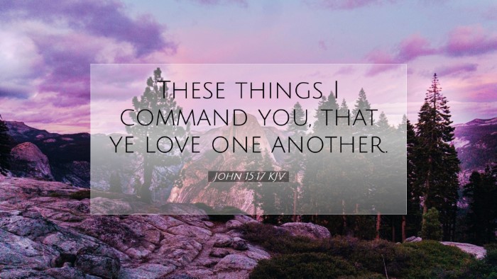 Picture 07 - John 15:17 KJV Desktop Wallpaper - These things I command you, that ye love one - Desktop Bible Verse Wallpaper