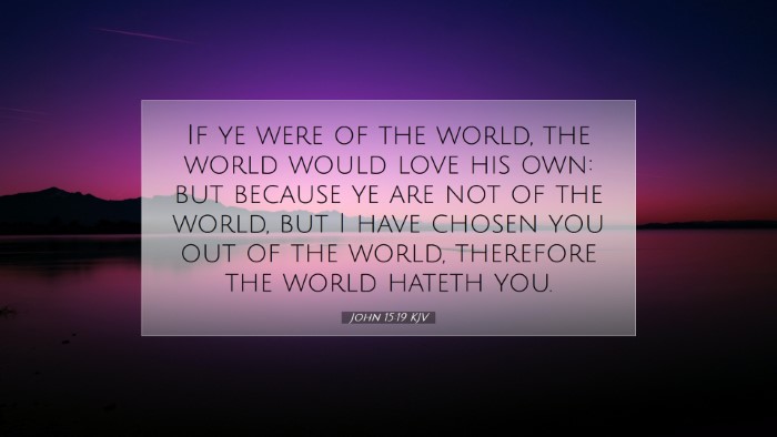Picture 07 - John 15:19 KJV Desktop Wallpaper - If ye were of the world, the world would love his - Desktop Bible Verse Wallpaper