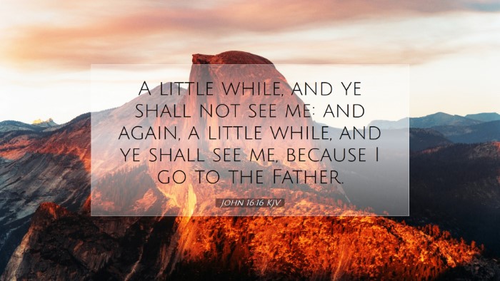 Picture 07 - John 16:16 KJV Desktop Wallpaper - A little while, and ye shall not see me: and - Desktop Bible Verse Wallpaper