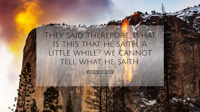 Picture 07 - John 16:18 KJV Desktop Wallpaper - They said therefore, What is this that he saith, - Desktop Bible Verse Wallpaper