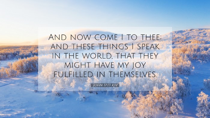 Picture 07 - John 17:13 KJV Desktop Wallpaper - And now come I to thee; and these things I speak - Desktop Bible Verse Wallpaper