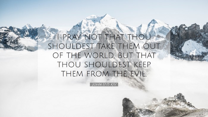 Picture 07 - John 17:15 KJV Desktop Wallpaper - I pray not that thou shouldest take them out of - Desktop Bible Verse Wallpaper